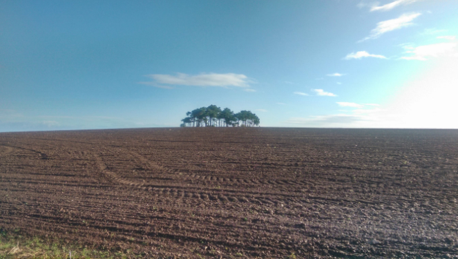Raleigh Estate Farming