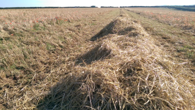 Raleigh Estate Farming