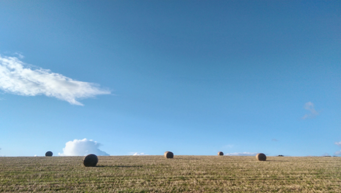 Raleigh Estate Farming