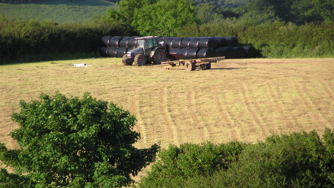 Raleigh Estate Farming