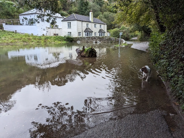 Image of Old Mill Creek at High Tide