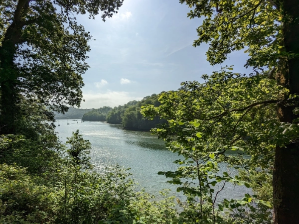 Image of Old Mill Creek